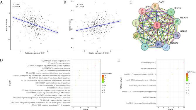 https://cdn.ncbi.nlm.nih.gov/pmc/blobs/3a7b/11437775/d0fe6ed96c13/12890_2024_3206_Fig4_HTML.jpg