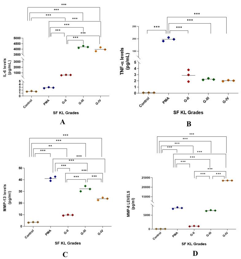 https://cdn.ncbi.nlm.nih.gov/pmc/blobs/3a7b/12024712/d4443ef32f19/biomedicines-13-00878-g005.jpg