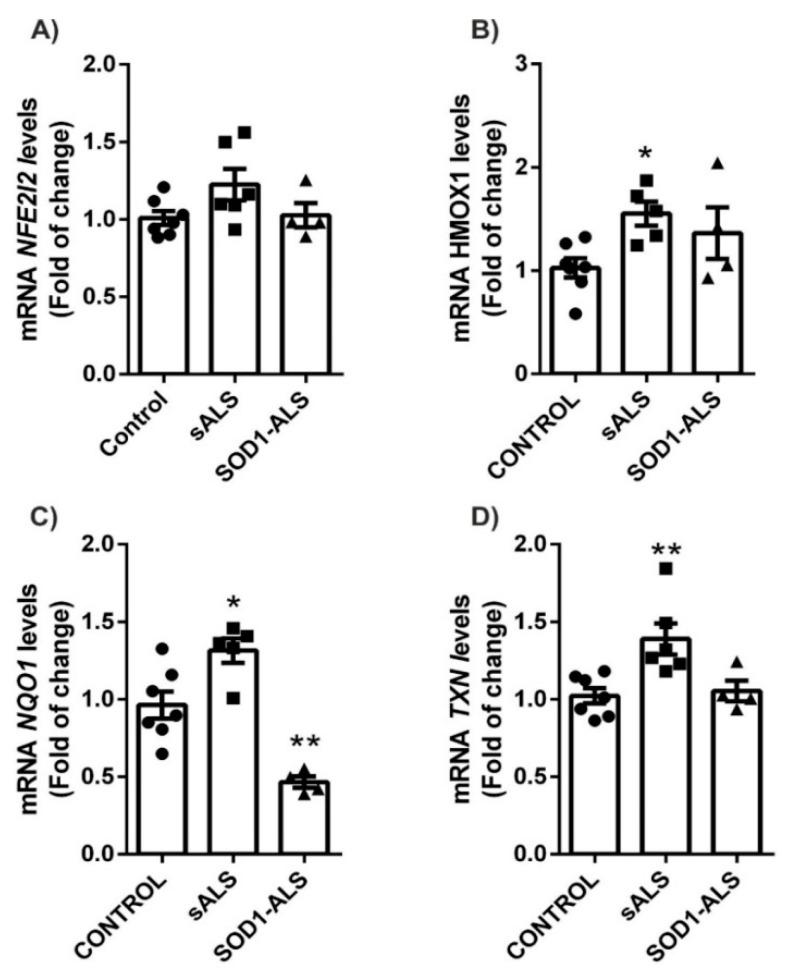 https://cdn.ncbi.nlm.nih.gov/pmc/blobs/3a7b/8000750/0f24755f84c7/ijms-22-03007-g003.jpg