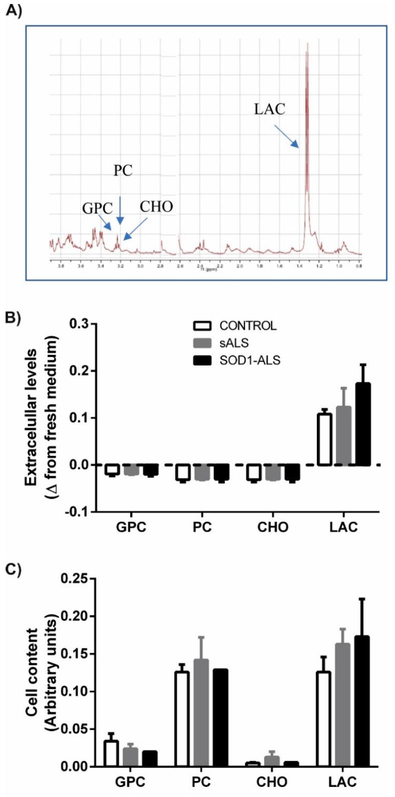 https://cdn.ncbi.nlm.nih.gov/pmc/blobs/3a7b/8000750/889ec93d4fbc/ijms-22-03007-g002.jpg