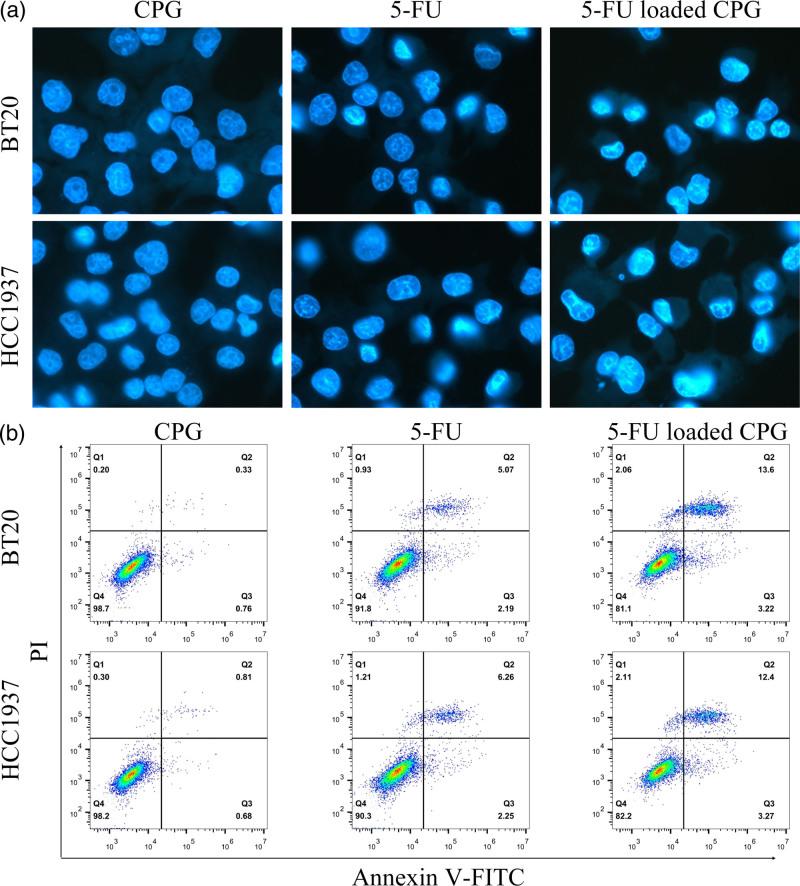 https://cdn.ncbi.nlm.nih.gov/pmc/blobs/3a7d/11781559/36c449f945db/acd-36-220-g006.jpg