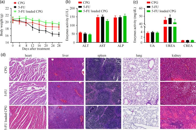 https://cdn.ncbi.nlm.nih.gov/pmc/blobs/3a7d/11781559/e2f8914366c1/acd-36-220-g007.jpg