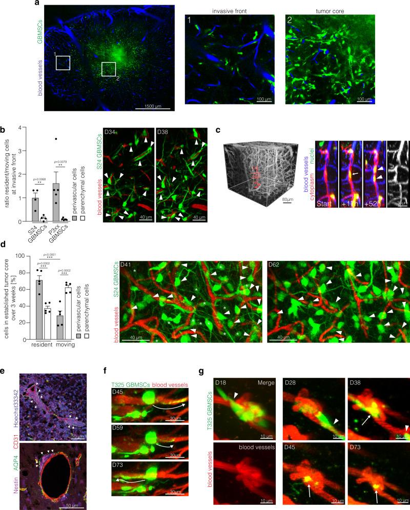 https://cdn.ncbi.nlm.nih.gov/pmc/blobs/3a7e/7881116/109ee9d5a1fa/41467_2021_21117_Fig2_HTML.jpg