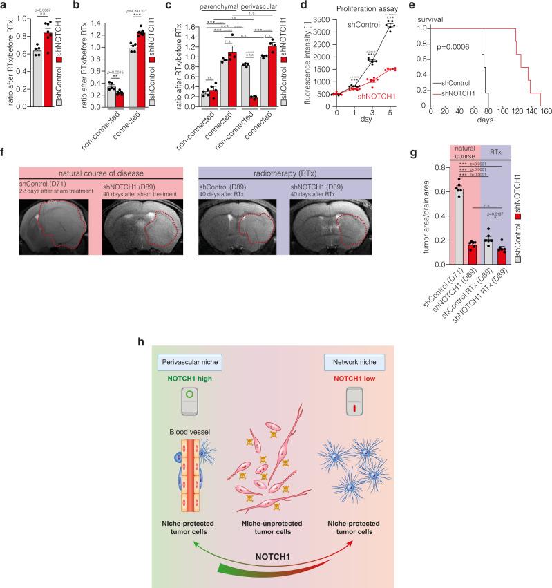 https://cdn.ncbi.nlm.nih.gov/pmc/blobs/3a7e/7881116/ce932e9d5217/41467_2021_21117_Fig8_HTML.jpg
