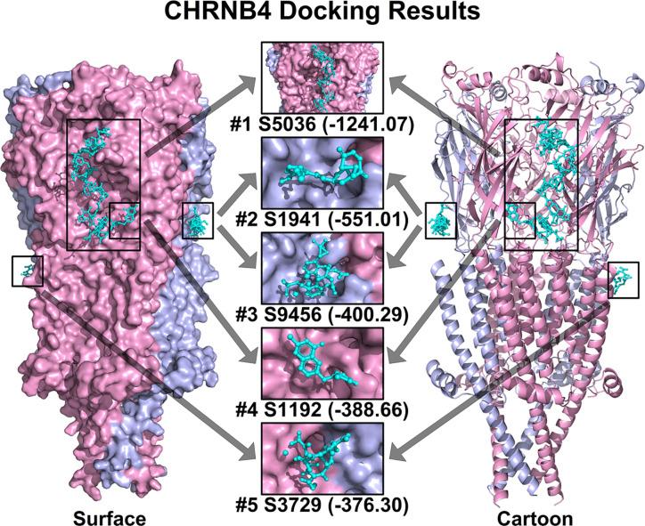 https://cdn.ncbi.nlm.nih.gov/pmc/blobs/3a7f/7701245/29b4cb7457f2/fonc-10-571167-g006.jpg