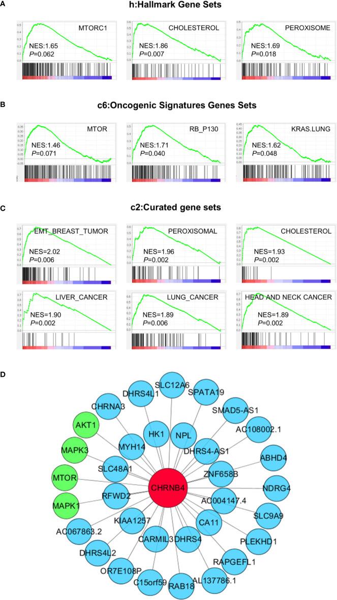 https://cdn.ncbi.nlm.nih.gov/pmc/blobs/3a7f/7701245/e754d65864c2/fonc-10-571167-g004.jpg
