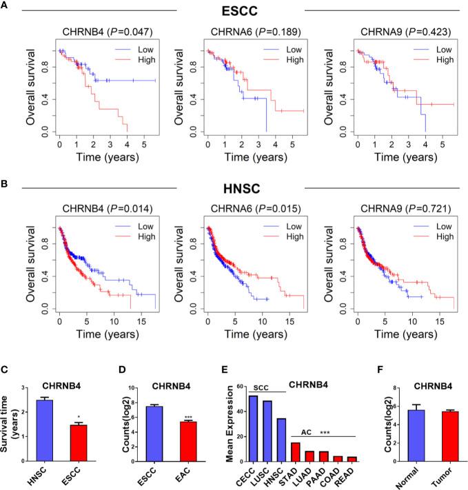 https://cdn.ncbi.nlm.nih.gov/pmc/blobs/3a7f/7701245/fb1a82c5f481/fonc-10-571167-g002.jpg