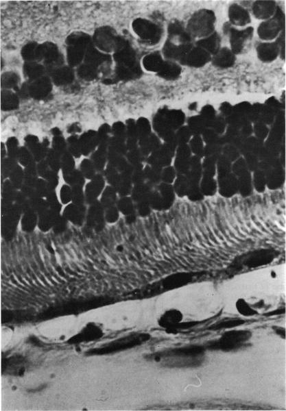 https://cdn.ncbi.nlm.nih.gov/pmc/blobs/3a80/1311407/7b777f936269/taos00027-0443-a.jpg