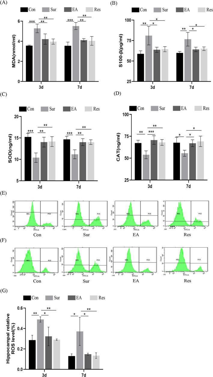 https://cdn.ncbi.nlm.nih.gov/pmc/blobs/3a81/11862894/d4ff6b1843a3/JCMM-29-e70436-g004.jpg