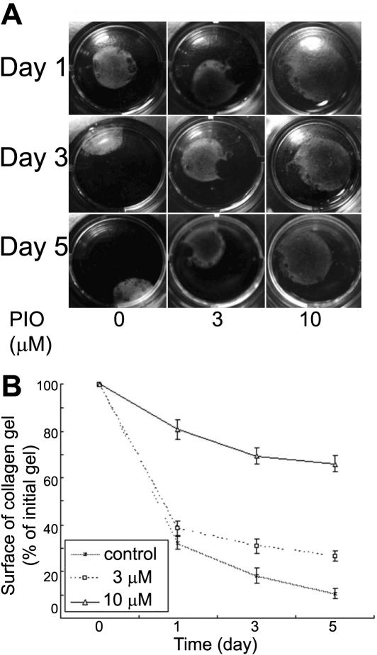 https://cdn.ncbi.nlm.nih.gov/pmc/blobs/3a81/2776343/43827c62a4cd/mv-v15-2279-f3.jpg