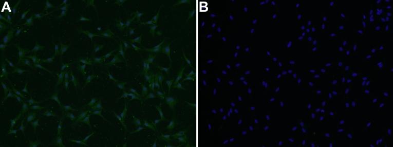 https://cdn.ncbi.nlm.nih.gov/pmc/blobs/3a81/2776343/943fea0e9b5b/mv-v15-2279-f1.jpg