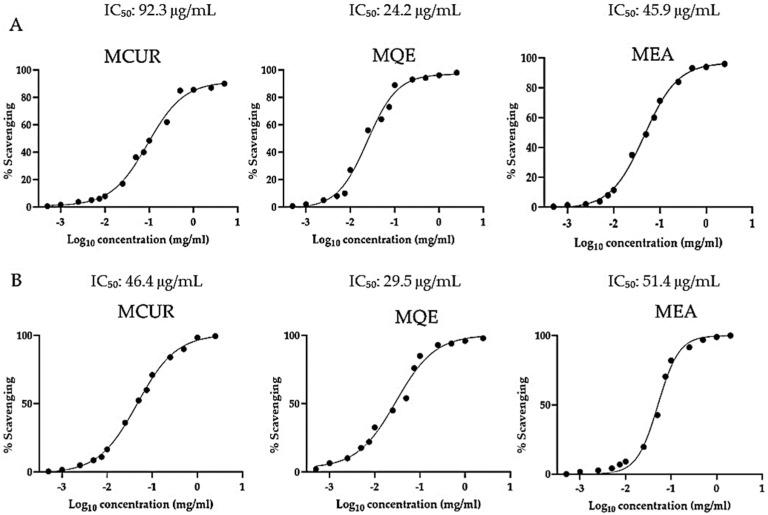 https://cdn.ncbi.nlm.nih.gov/pmc/blobs/3a82/11118136/0a1c1417b1be/antioxidants-13-00610-g003.jpg