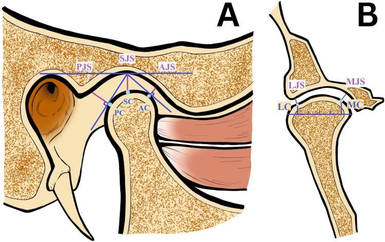 https://cdn.ncbi.nlm.nih.gov/pmc/blobs/3a84/12392770/3115a7dd6b86/gr2.jpg