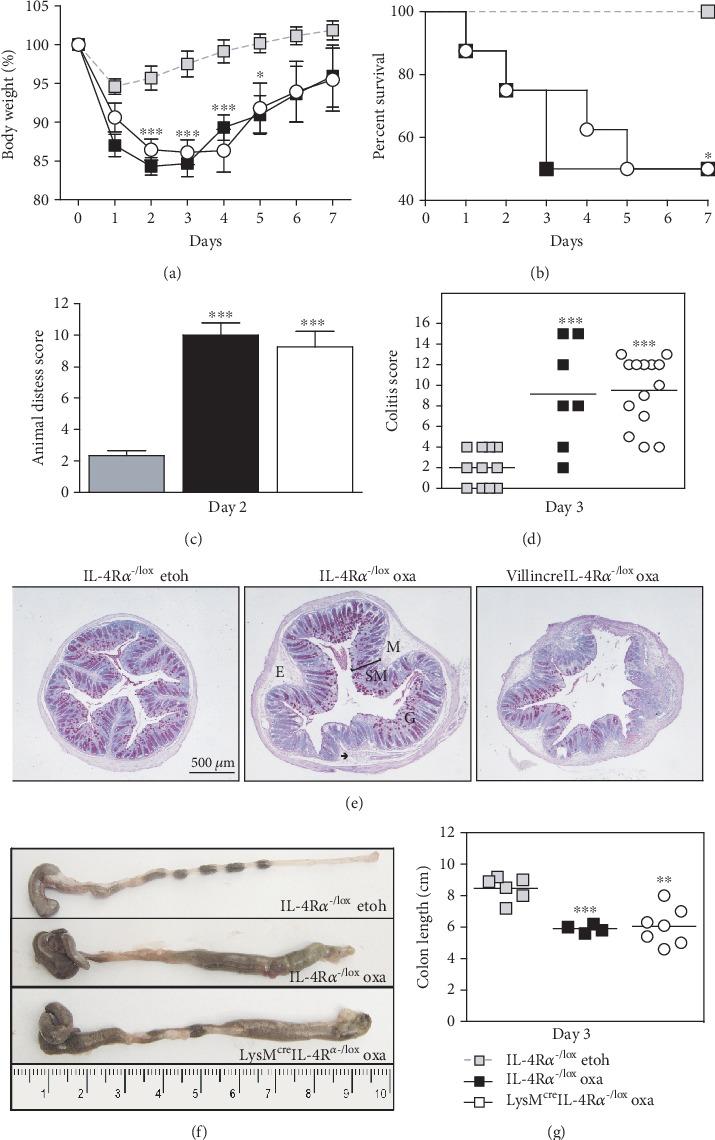 https://cdn.ncbi.nlm.nih.gov/pmc/blobs/3a86/7201672/52f1f64fc384/MI2020-4361043.005.jpg