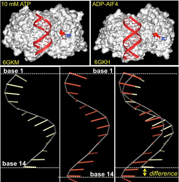 https://cdn.ncbi.nlm.nih.gov/pmc/blobs/3a86/8118290/641b2d940a8a/pgen.1009513.g002.jpg