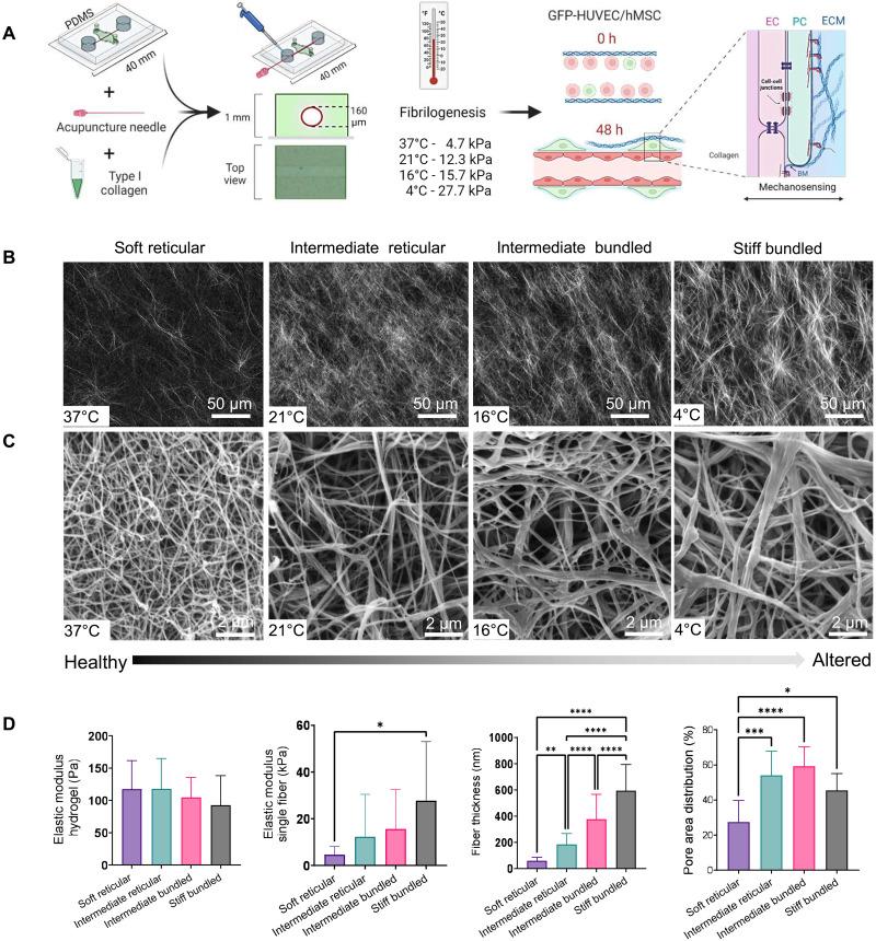https://cdn.ncbi.nlm.nih.gov/pmc/blobs/3a87/11721577/b1f543f0b0e7/sciadv.adp3789-f1.jpg