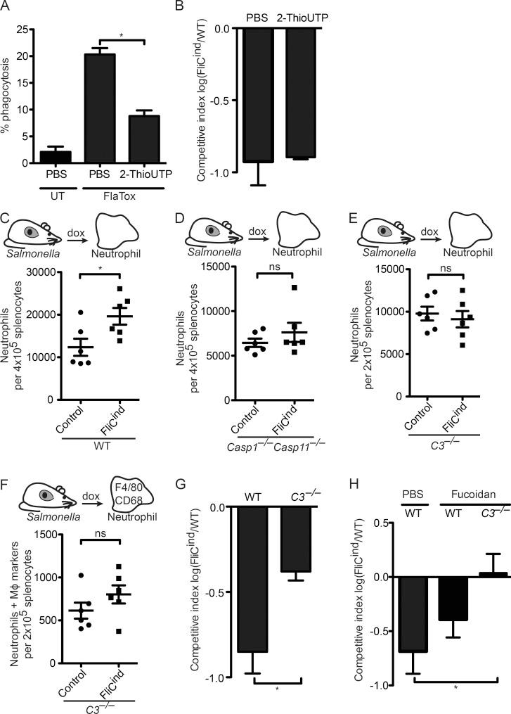 https://cdn.ncbi.nlm.nih.gov/pmc/blobs/3a87/5030797/effd68cd690c/JEM_20151613_Fig7.jpg