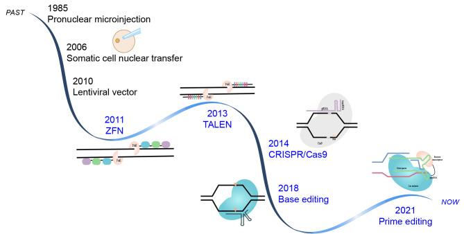 https://cdn.ncbi.nlm.nih.gov/pmc/blobs/3a88/11017087/1f3329eca7c4/zr-45-2-253-1.jpg
