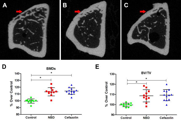https://cdn.ncbi.nlm.nih.gov/pmc/blobs/3a89/9059993/07e3f3f56def/JIR-15-2745-g0010.jpg