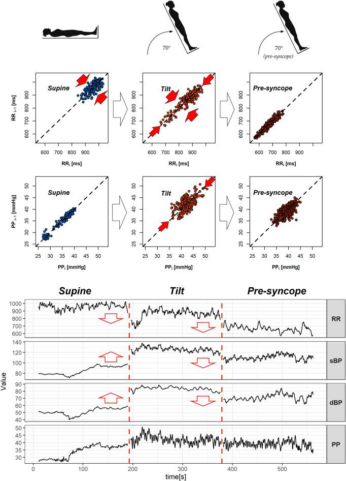 https://cdn.ncbi.nlm.nih.gov/pmc/blobs/3a90/9868761/c83865d3aaeb/fphys-13-1087837-g006.jpg