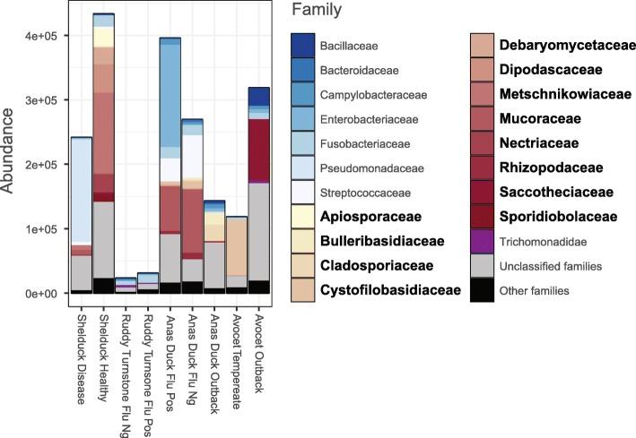 https://cdn.ncbi.nlm.nih.gov/pmc/blobs/3a92/7189439/ecd0e30ec648/13059_2020_2014_Fig5_HTML.jpg