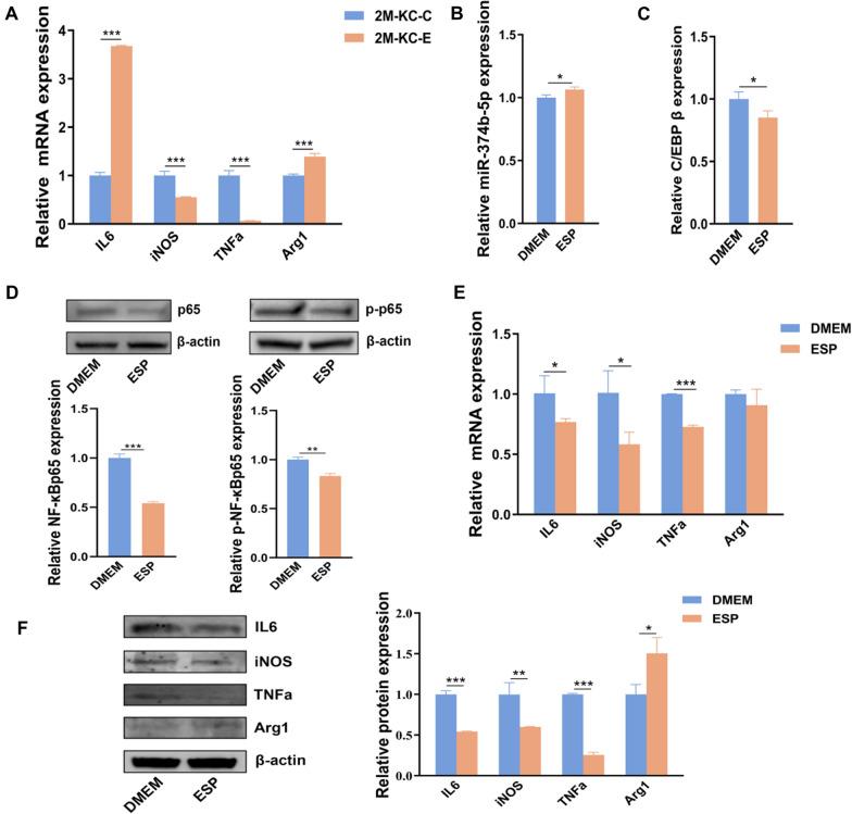 https://cdn.ncbi.nlm.nih.gov/pmc/blobs/3a93/10981327/68d41d2e33a8/13071_2024_6238_Fig5_HTML.jpg