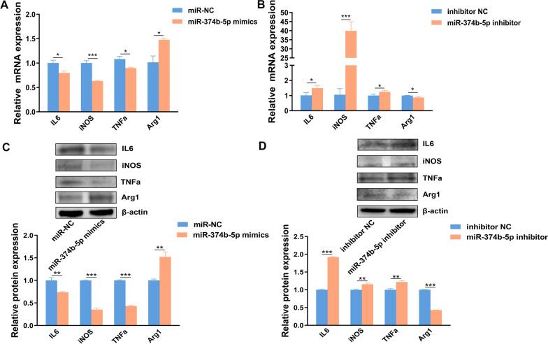 https://cdn.ncbi.nlm.nih.gov/pmc/blobs/3a93/10981327/9621cd9729d3/13071_2024_6238_Fig4_HTML.jpg
