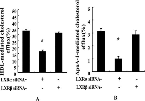 https://cdn.ncbi.nlm.nih.gov/pmc/blobs/3a93/4107624/36b69e7d4155/1471-2261-14-80-4.jpg
