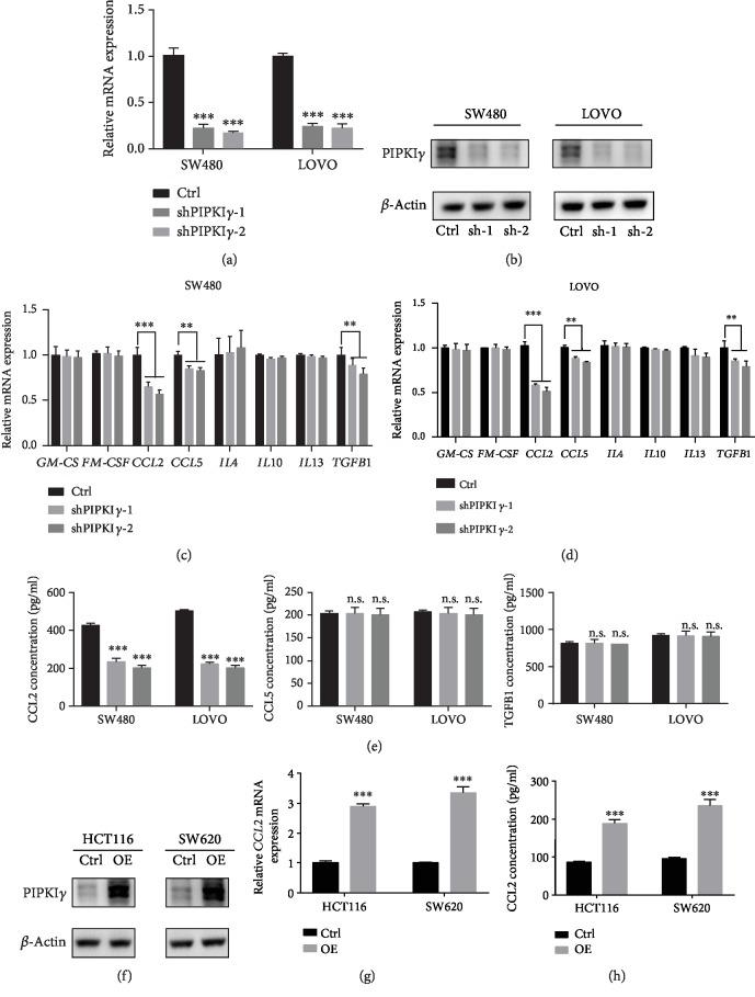 https://cdn.ncbi.nlm.nih.gov/pmc/blobs/3a93/6874988/0dc9fe2b7d7b/JIR2019-3690561.002.jpg