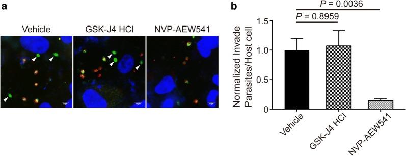 https://cdn.ncbi.nlm.nih.gov/pmc/blobs/3a95/7216583/393c9b324946/13071_2020_4094_Fig4_HTML.jpg