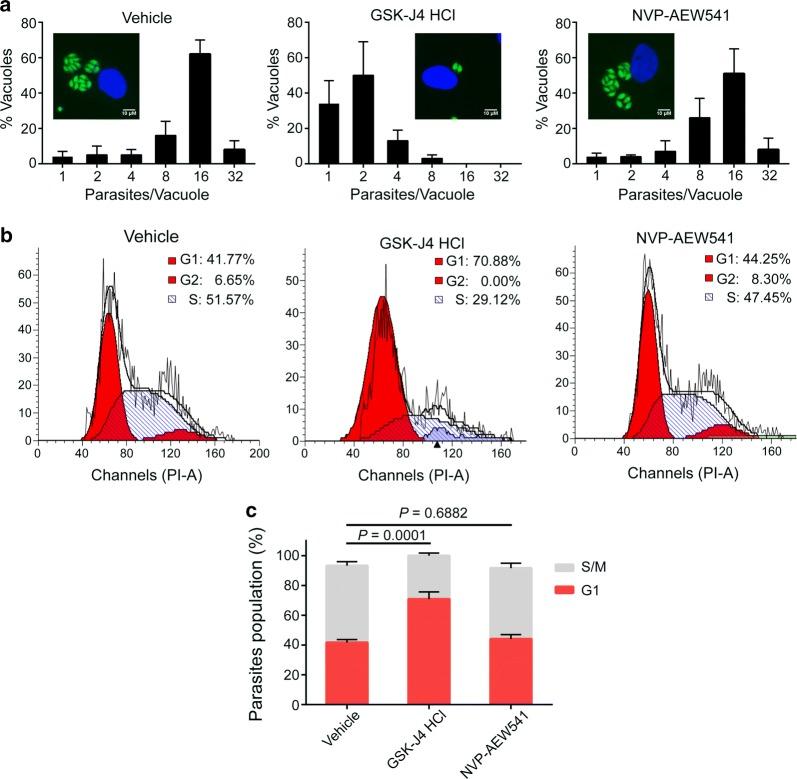 https://cdn.ncbi.nlm.nih.gov/pmc/blobs/3a95/7216583/534dc132d0c2/13071_2020_4094_Fig5_HTML.jpg