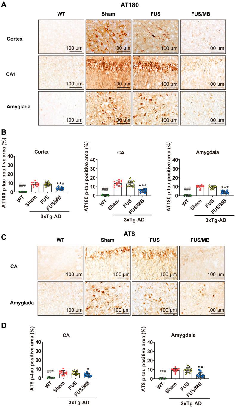 https://cdn.ncbi.nlm.nih.gov/pmc/blobs/3a96/7546002/5cf0fb6e1ae9/thnov10p11794g007.jpg