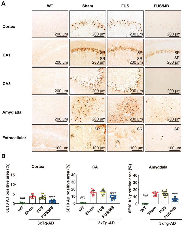 https://cdn.ncbi.nlm.nih.gov/pmc/blobs/3a96/7546002/b2a7b9fd060a/thnov10p11794g006.jpg