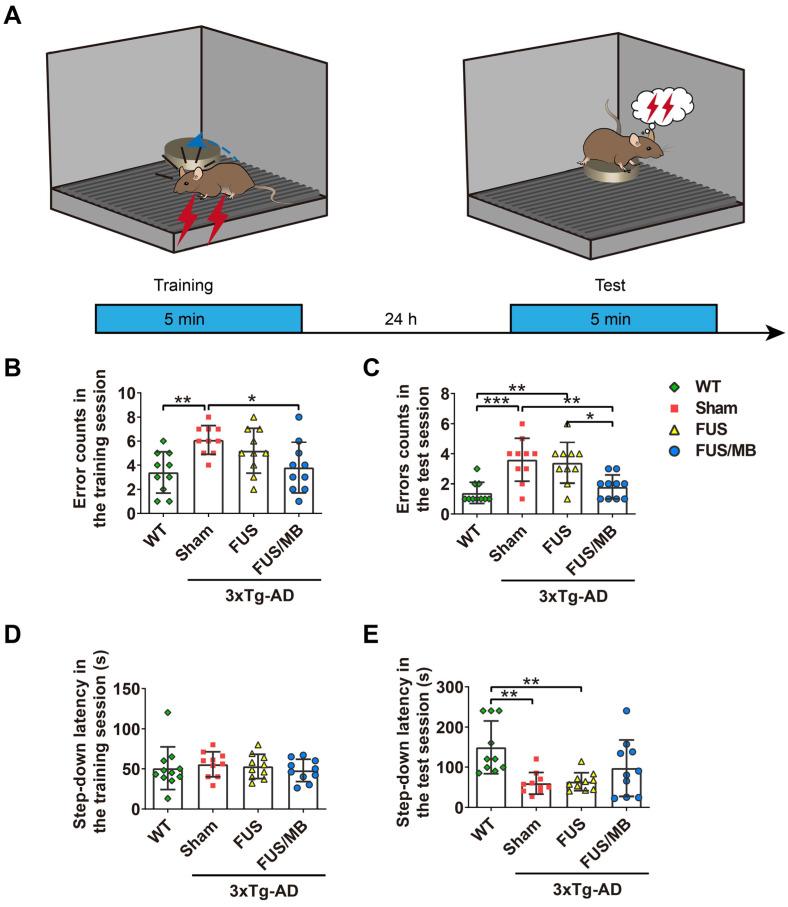 https://cdn.ncbi.nlm.nih.gov/pmc/blobs/3a96/7546002/b42491983b32/thnov10p11794g005.jpg