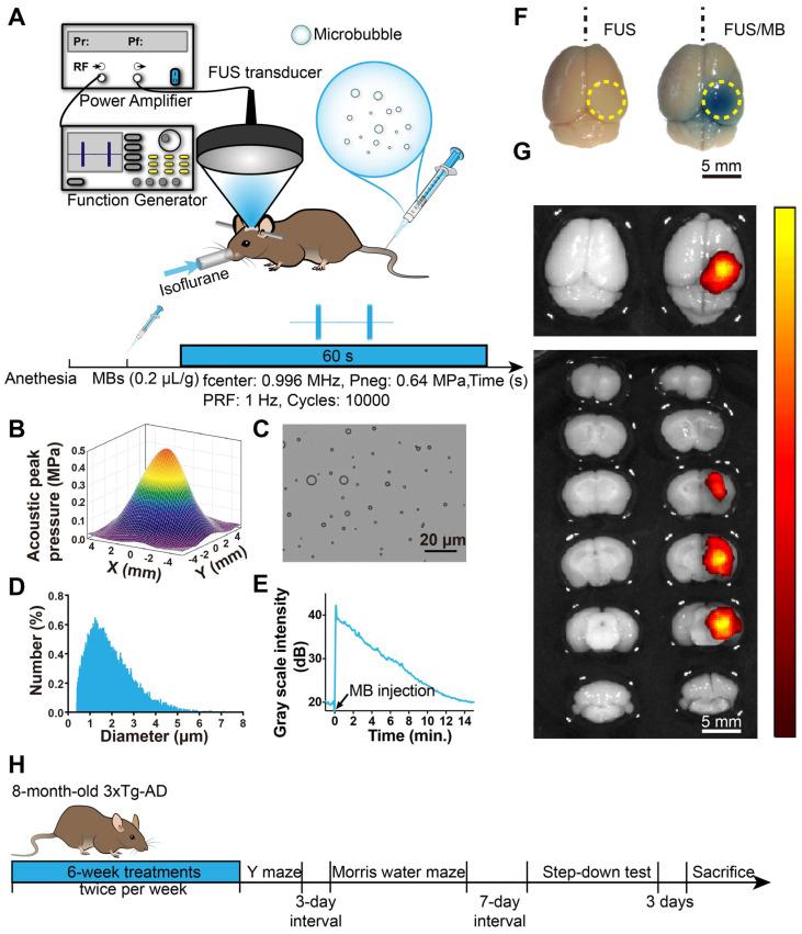 https://cdn.ncbi.nlm.nih.gov/pmc/blobs/3a96/7546002/f2f54b35c38d/thnov10p11794g001.jpg