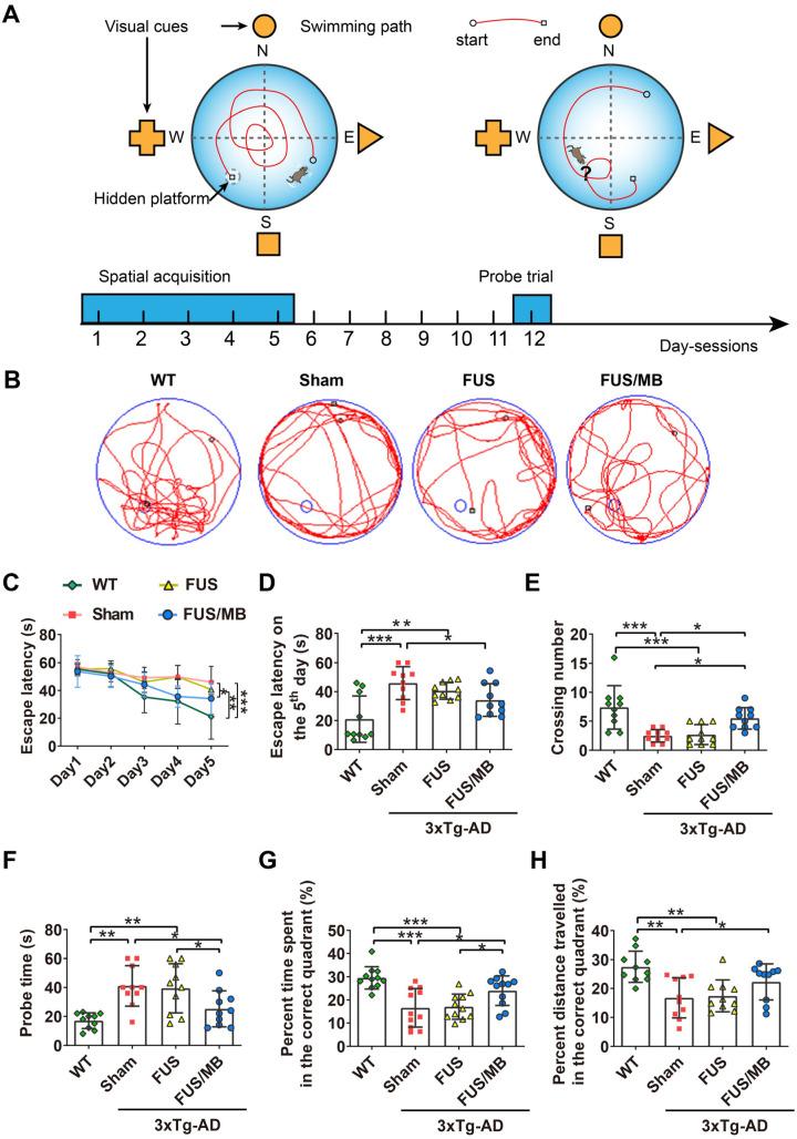 https://cdn.ncbi.nlm.nih.gov/pmc/blobs/3a96/7546002/fe80d0eecaa4/thnov10p11794g004.jpg