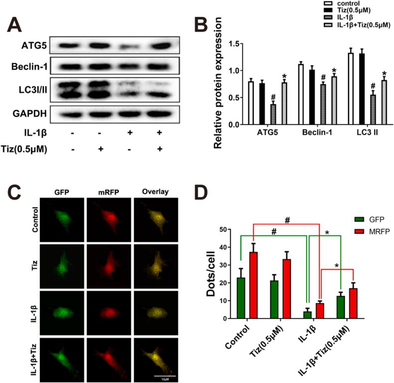 https://cdn.ncbi.nlm.nih.gov/pmc/blobs/3a9a/10472306/159caa8600d4/gr3.jpg