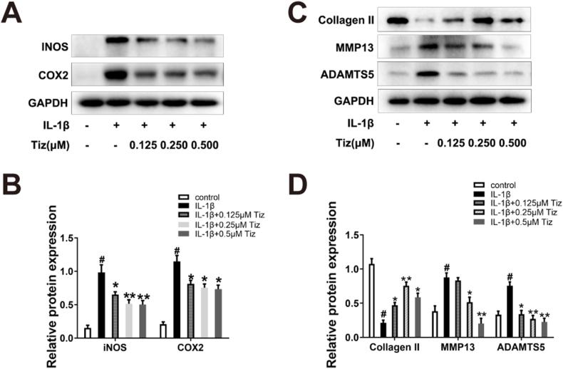 https://cdn.ncbi.nlm.nih.gov/pmc/blobs/3a9a/10472306/3a66088fae17/gr2.jpg