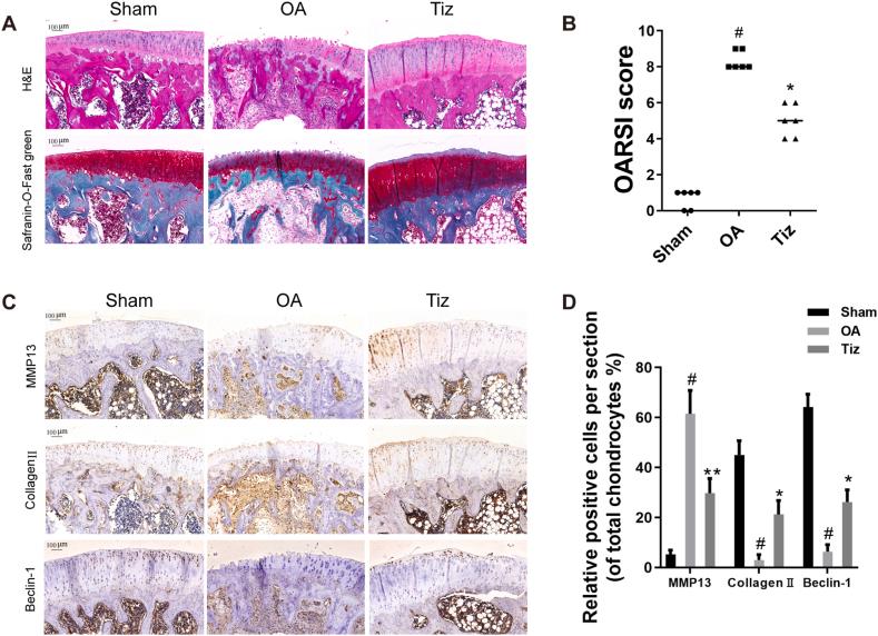 https://cdn.ncbi.nlm.nih.gov/pmc/blobs/3a9a/10472306/8f94e76040ff/gr6.jpg