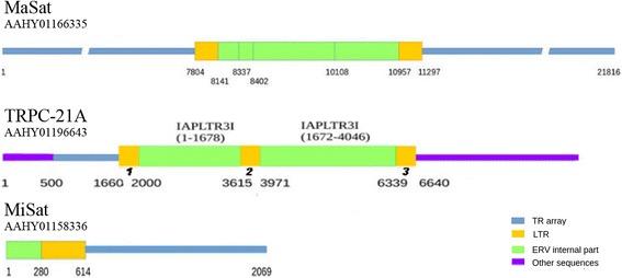 https://cdn.ncbi.nlm.nih.gov/pmc/blobs/3a9a/5819297/84eac747604f/12864_2018_4534_Fig4_HTML.jpg