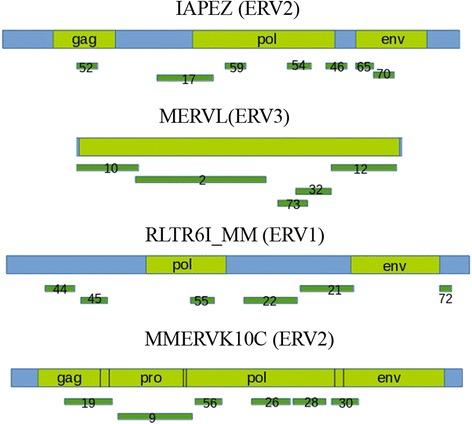 https://cdn.ncbi.nlm.nih.gov/pmc/blobs/3a9a/5819297/abdec8c4591d/12864_2018_4534_Fig2_HTML.jpg