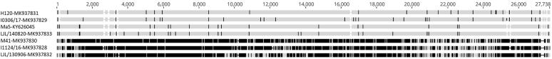 https://cdn.ncbi.nlm.nih.gov/pmc/blobs/3a9a/7647914/045fbf8e4f39/gr2.jpg