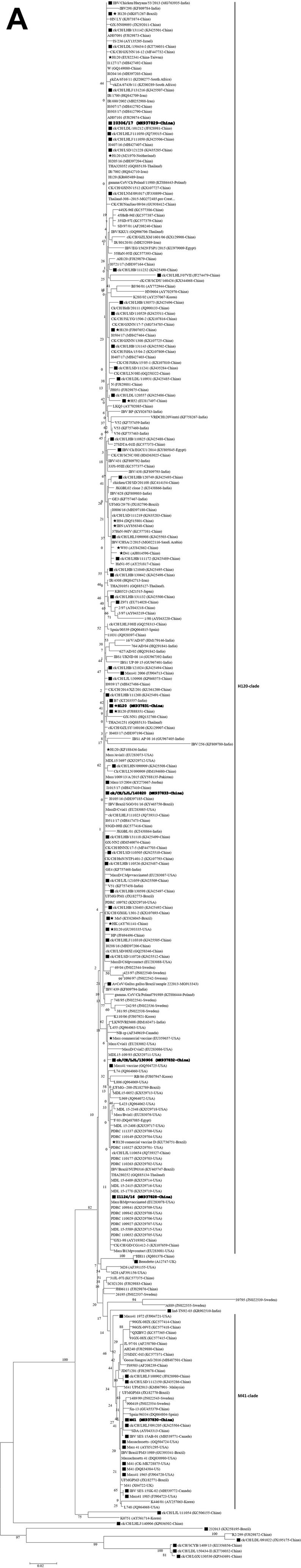 https://cdn.ncbi.nlm.nih.gov/pmc/blobs/3a9a/7647914/6a306691aeba/gr1a.jpg