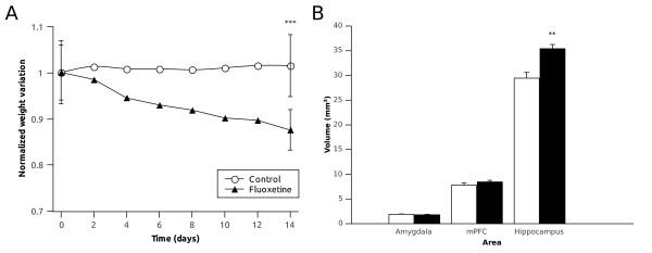 https://cdn.ncbi.nlm.nih.gov/pmc/blobs/3a9c/3278353/6490421f7ed3/1471-2202-13-5-1.jpg
