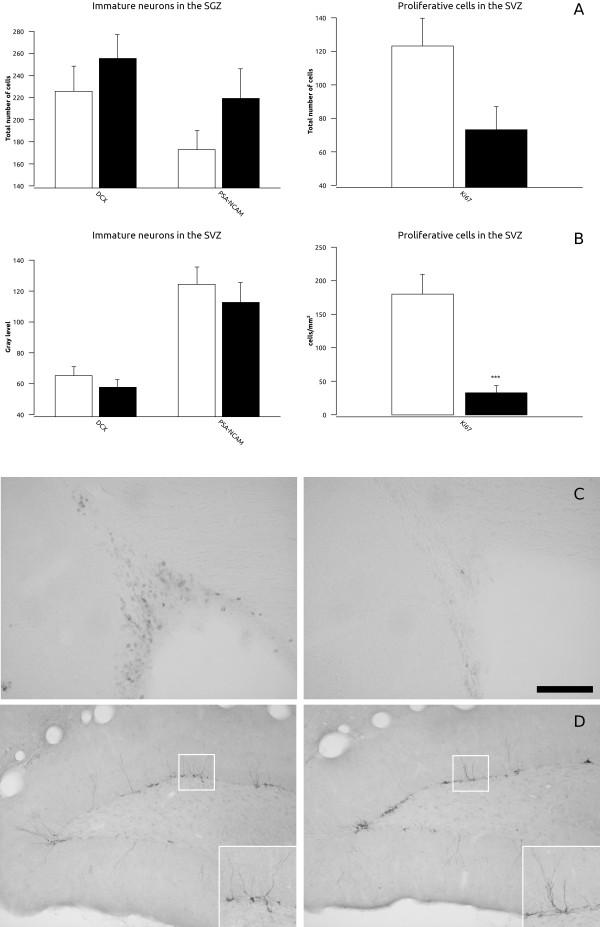 https://cdn.ncbi.nlm.nih.gov/pmc/blobs/3a9c/3278353/881f846e970f/1471-2202-13-5-6.jpg