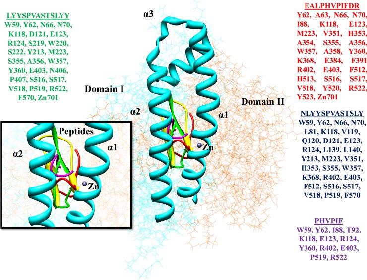 https://cdn.ncbi.nlm.nih.gov/pmc/blobs/3a9d/6996805/0b65409cbed8/pone.0228265.g005.jpg