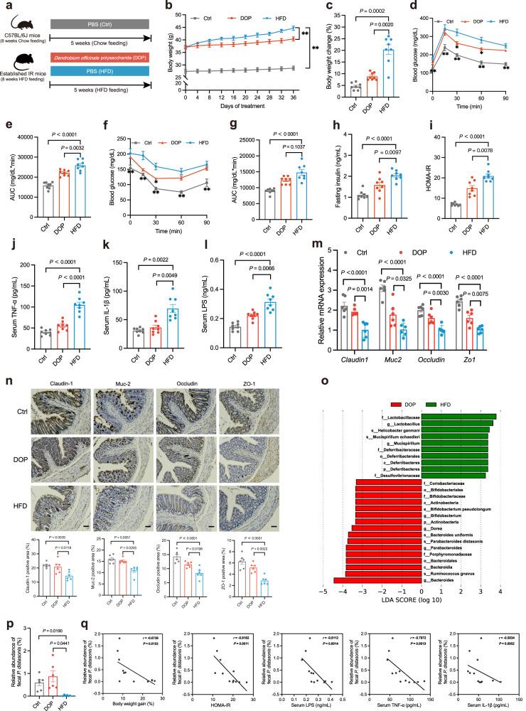 https://cdn.ncbi.nlm.nih.gov/pmc/blobs/3a9f/10676405/07ee151ad40a/41467_2023_43622_Fig3_HTML.jpg
