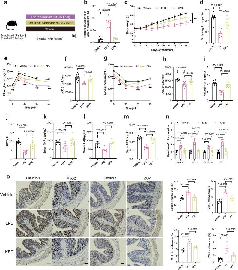 https://cdn.ncbi.nlm.nih.gov/pmc/blobs/3a9f/10676405/318cff82b4bd/41467_2023_43622_Fig4_HTML.jpg