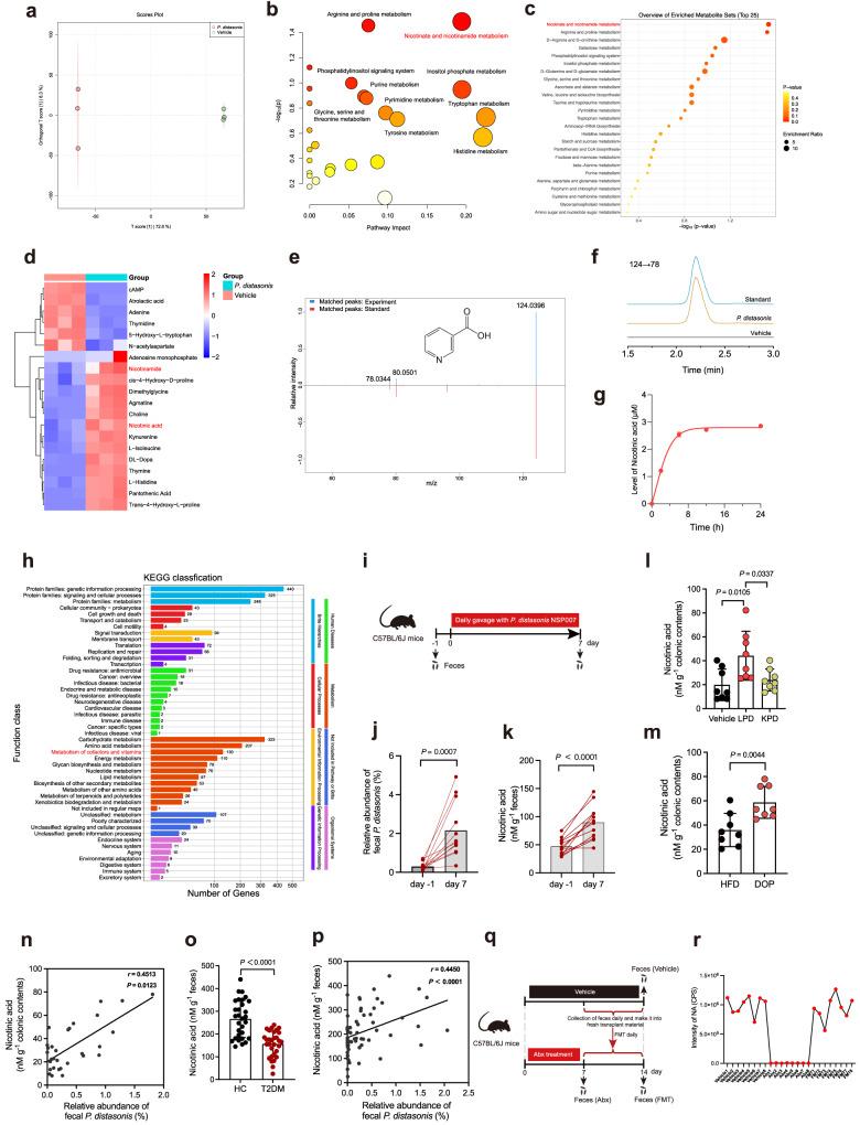 https://cdn.ncbi.nlm.nih.gov/pmc/blobs/3a9f/10676405/3890030c32fc/41467_2023_43622_Fig5_HTML.jpg