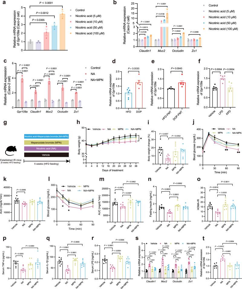 https://cdn.ncbi.nlm.nih.gov/pmc/blobs/3a9f/10676405/65bbe36f62a6/41467_2023_43622_Fig6_HTML.jpg